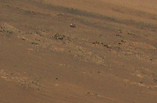 81628771753-652.jpg (138 KB)
