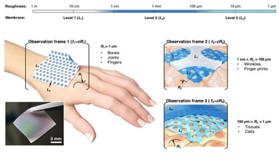 2etri_02.jpg (106 KB)