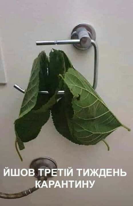 2KkKD6D6CrJWovpaYOzBXQhbFrXwsyXvBQNsK5hoI.jpeg (23 KB)