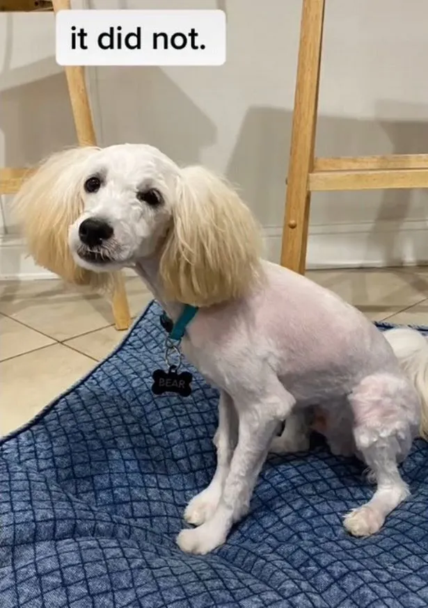 20thpchp270421slug306jpg.webp (56 KB)