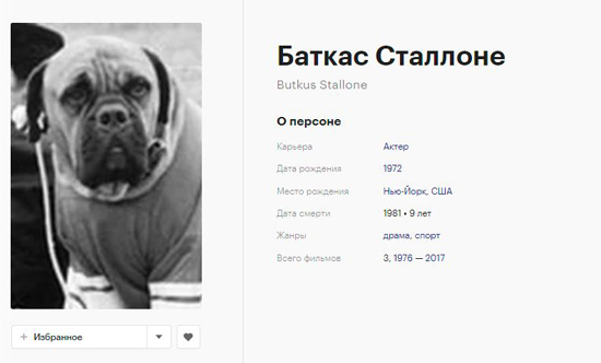 5Screenshot_1_21.jpg (66 KB)