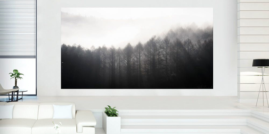 65d03c4180382f.jpg (75 KB)