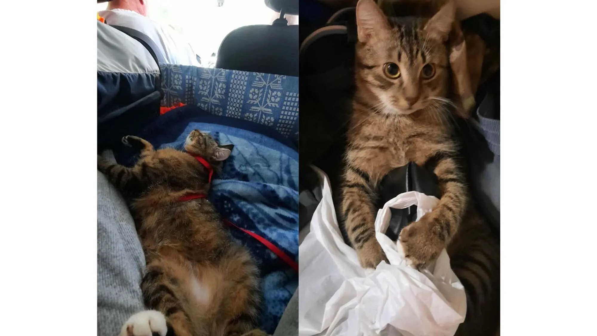 2ef7e1f3e-44cc-4c16-a1ad-bb3f1d60c0be.webp (95 KB)