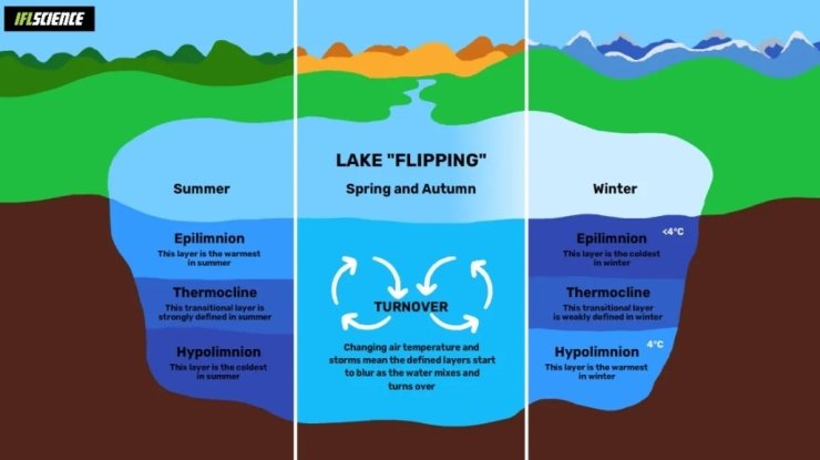 15221fb0d-cb6c54ca8d92dfa8edeb3de5ee8338b6.jpg (33 KB)