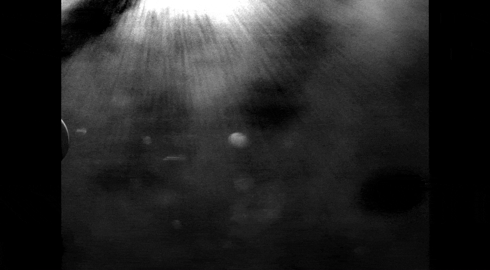 4b0d72c87125c174ed041f50e4e945e7.gif (1.17 MB)