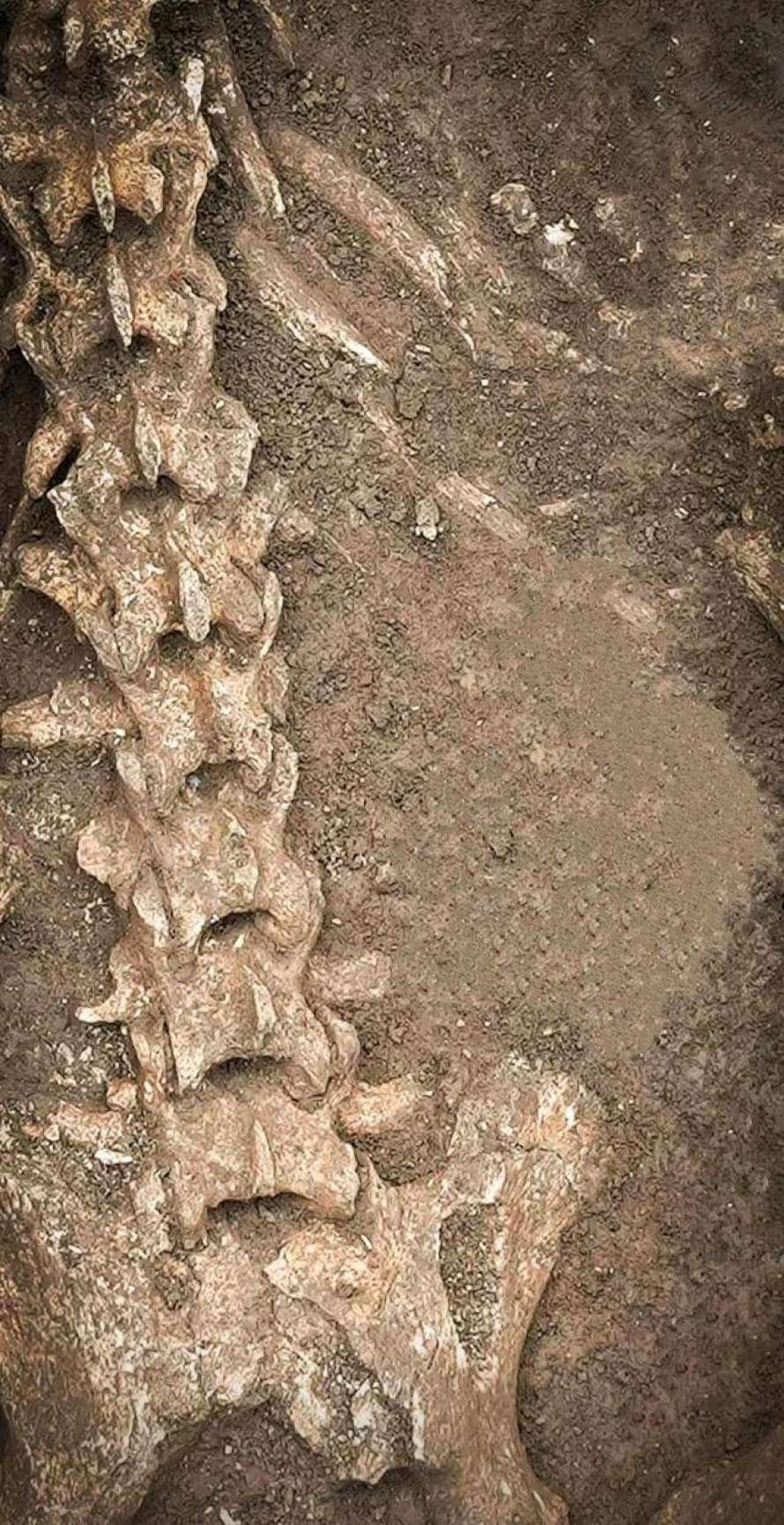 890_450_64d0d981809fa.jpg (268 KB)