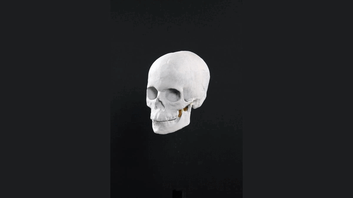 WTsmR4fYYHciTyWJHTtN9h-1200-80.gif (958 KB)