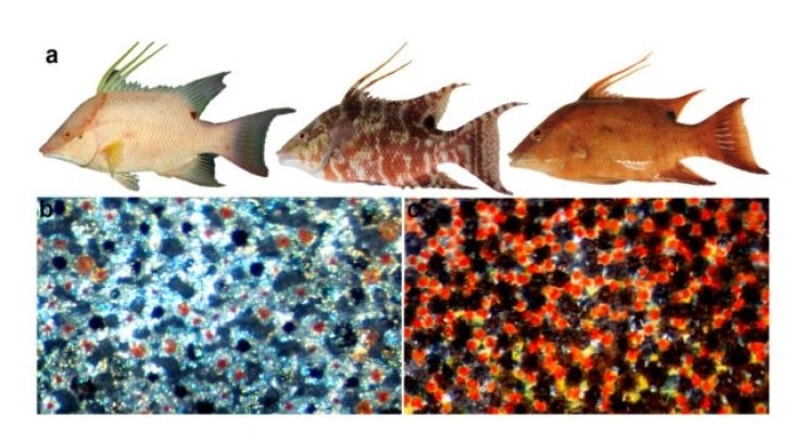 d434cb22-d55493802c58a75c7d1bd8482977c738.jpg (64 KB)