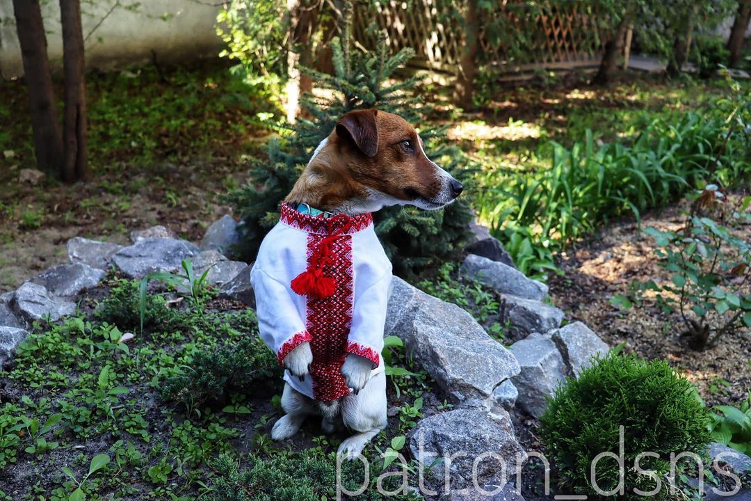 aceb73fac7bb69200e6d3bb97057e8cb.jpg (205 KB)