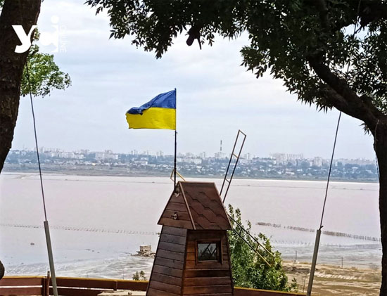 1110483_w_300.jpg (79 KB)