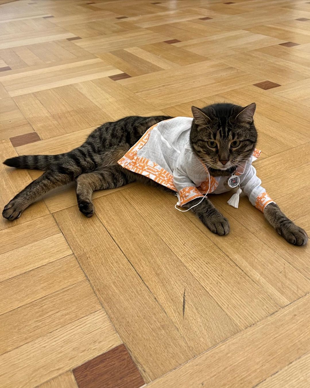 193f687278597d6db7ce1646a21b8019b.jpg (255 KB)