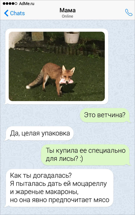 10612076.jpg (167 KB)