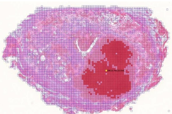 2352222.jpg (103 KB)