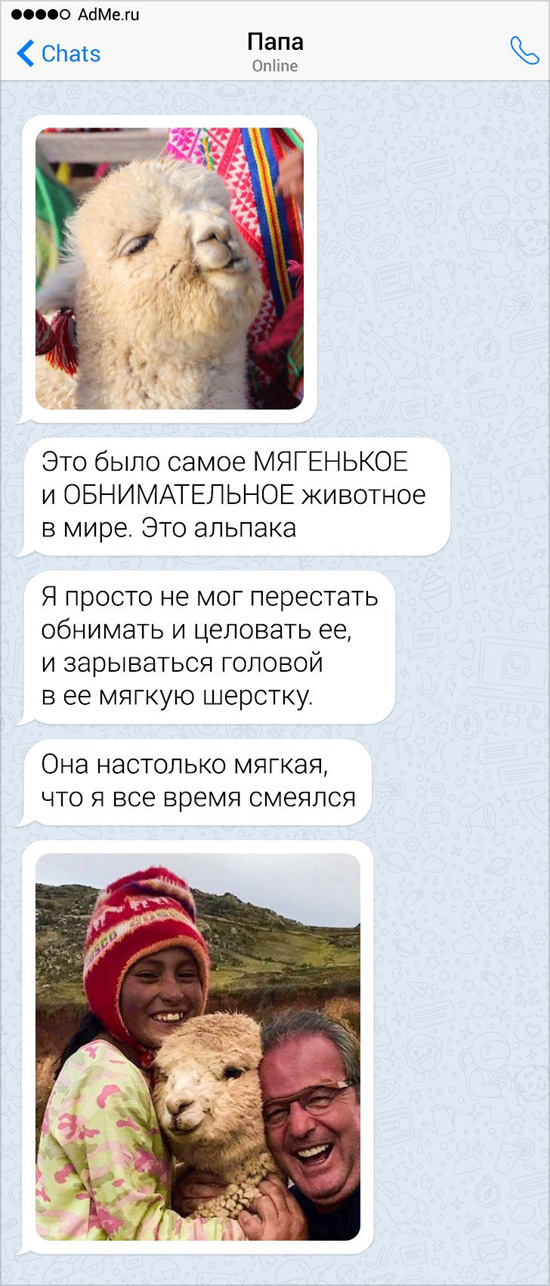 4612068.jpg (257 KB)