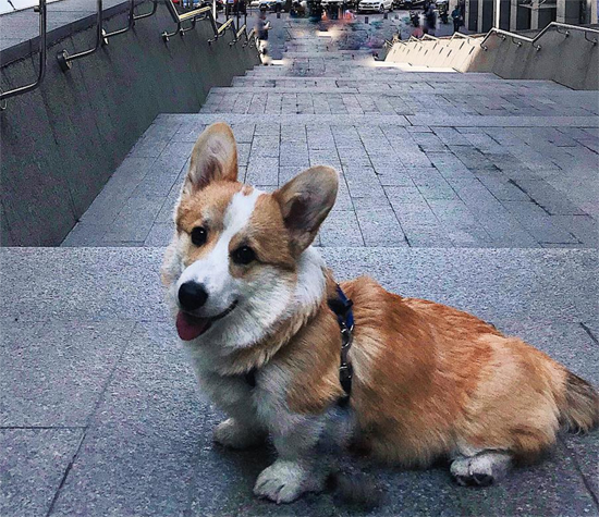 5677777y.jpg (265 KB)