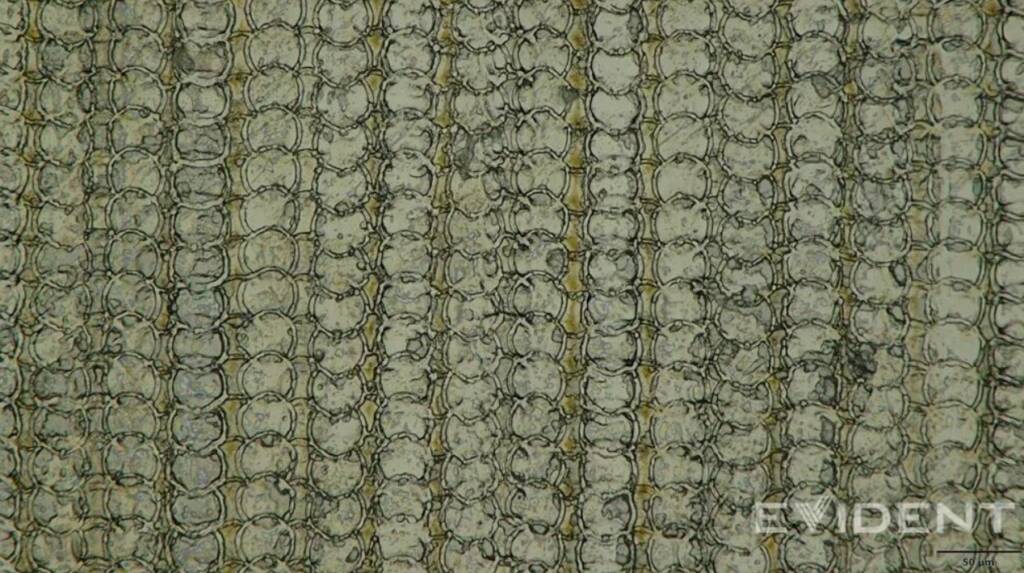 Screenshot_4-19.jpg (121 KB)