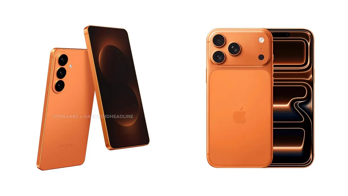 image123.webp (24 KB)