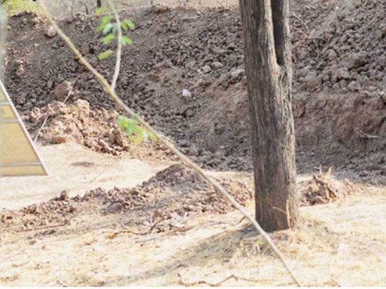 4Снимок.jpg (87 KB)