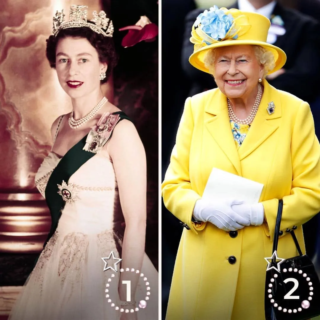 7474963681889727191160860705989308446646611065112090n.webp (84 KB)