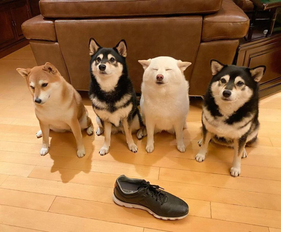 5982355.jpg (102 KB)