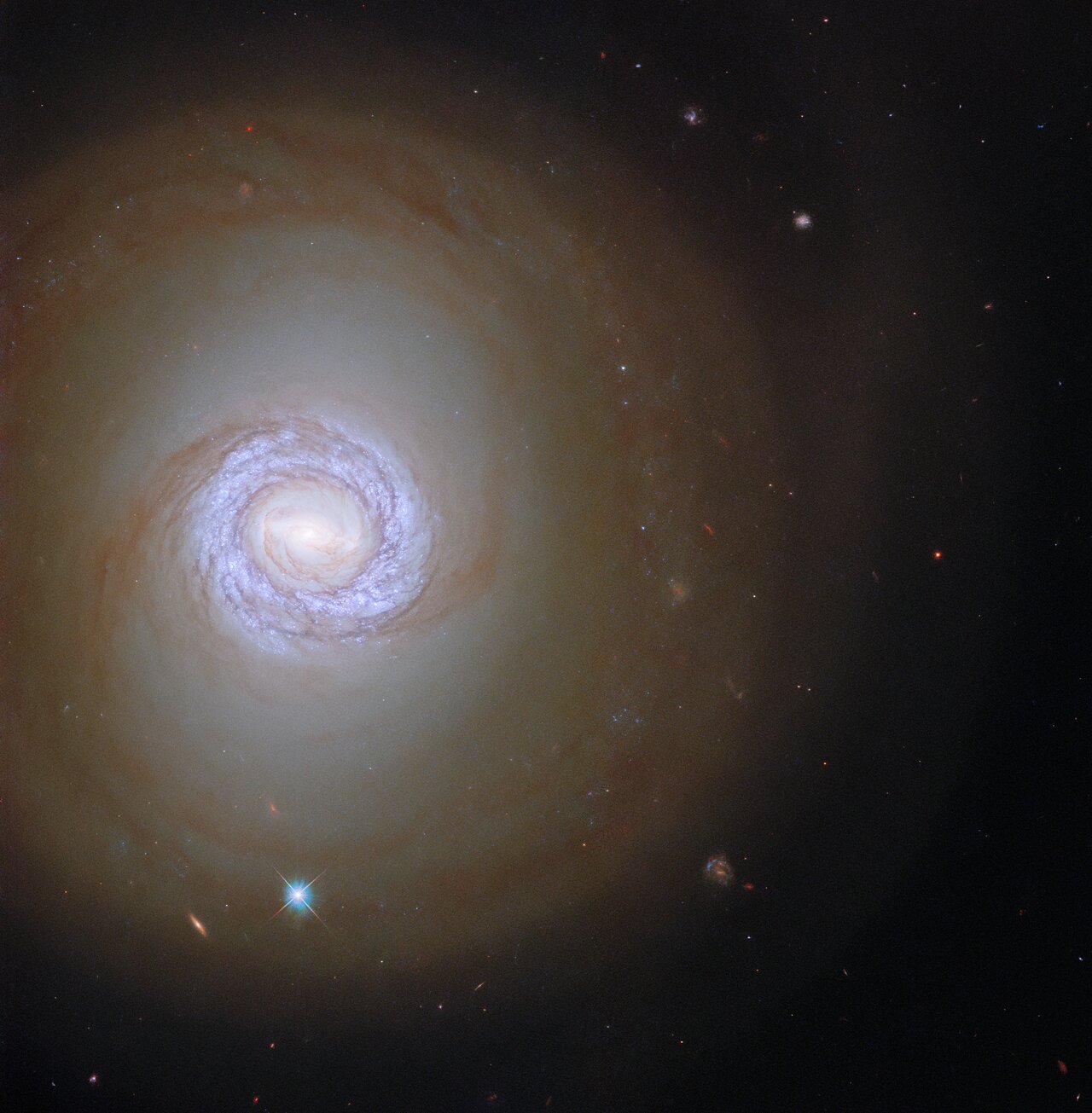 4potw2148a.jpg (220 KB)