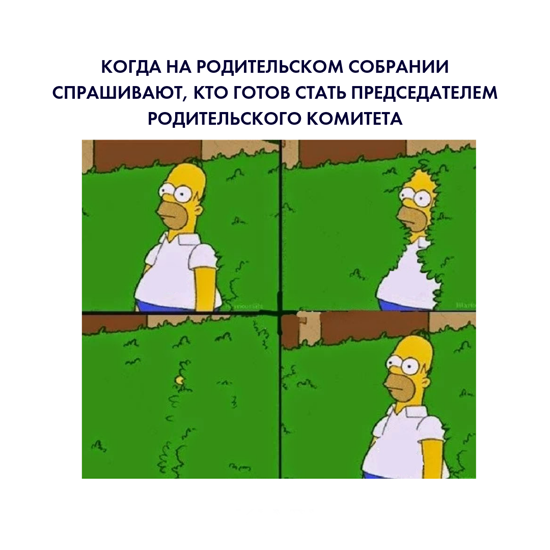 100050369_main.png (242 KB)