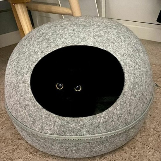 11630475211_35_Чёрная-кошка-МонЧи-стала-знаменитостью-Инстаграма-ФОТО.jpg (221 KB)