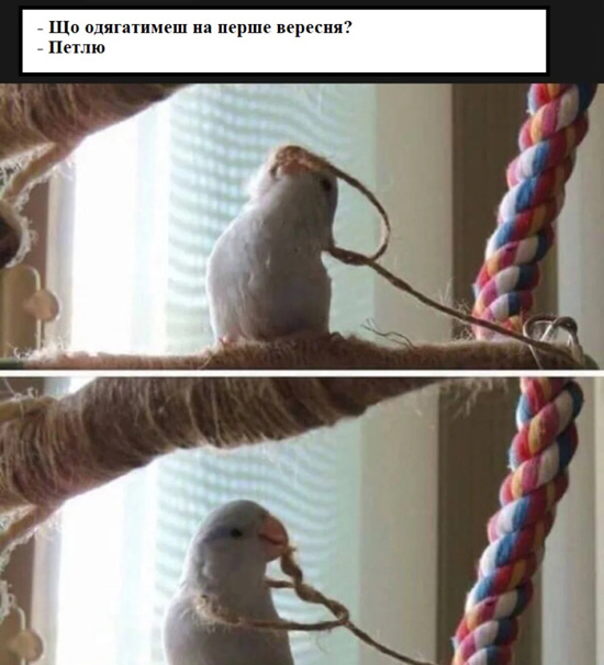 4image9.jpg (101 KB)