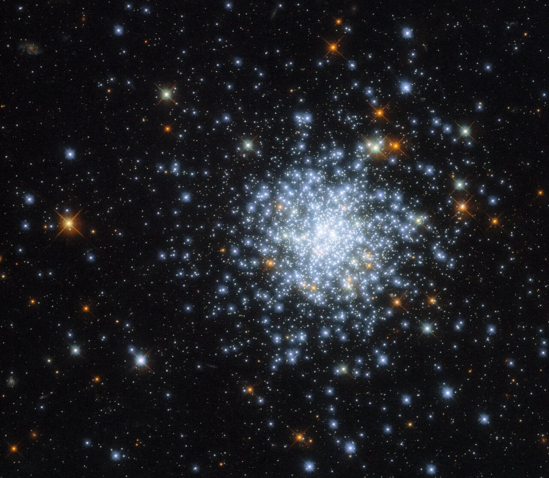 761629736813-514.jpg (428 KB)