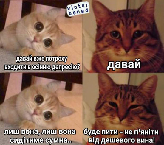 8789image.jpg (92 KB)