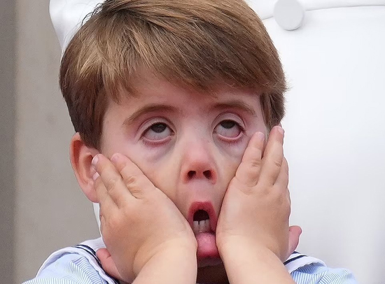 1fuqzwwxxsaauods.jpg (146 KB)