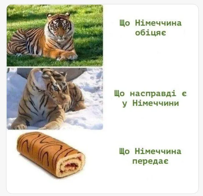 333333333.webp (41 KB)