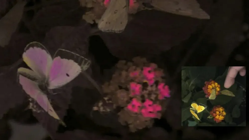 2new-camera-system-animals-eyes-01.jpg (18 KB)