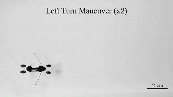 KTnsmY8YCIG6ruTGLOwY1iNX1LGPu4yhYj0N3xnY.webp (346 KB)