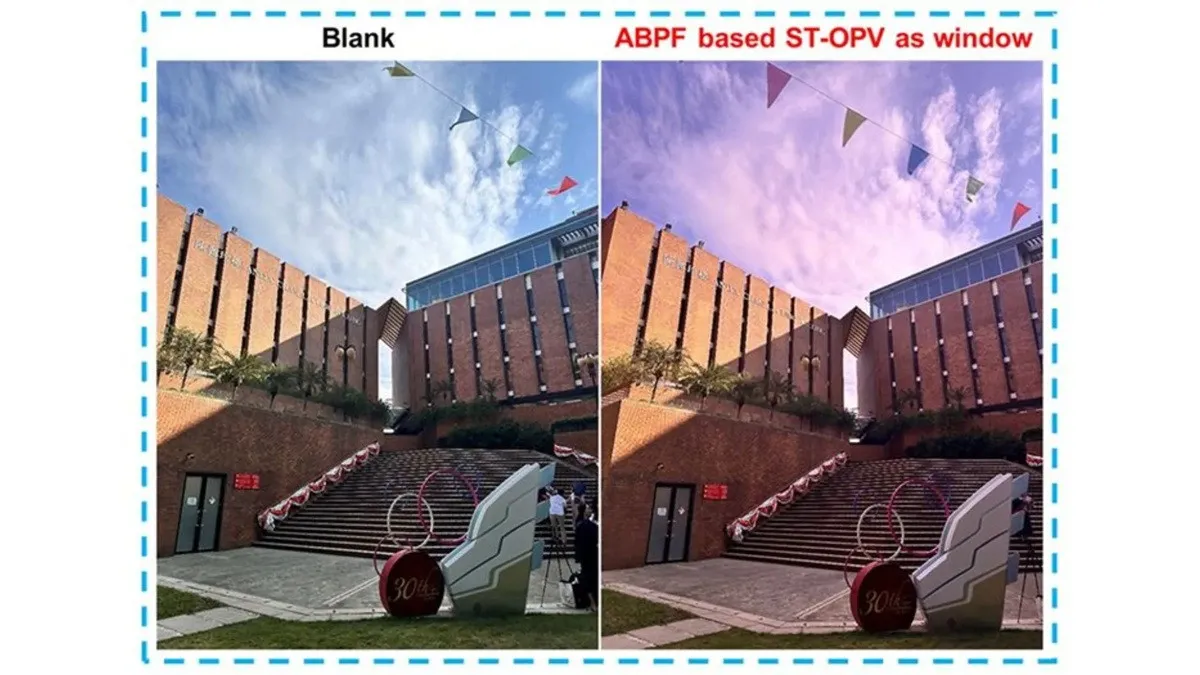 11748-soniacni-vikna.webp (82 KB)