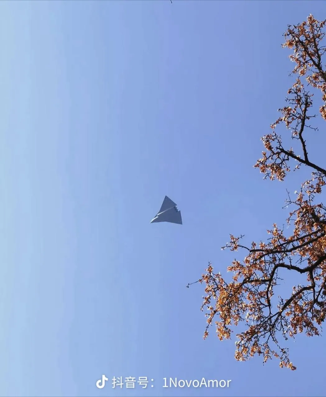 g8-98cjayaardtk.webp (79 KB)