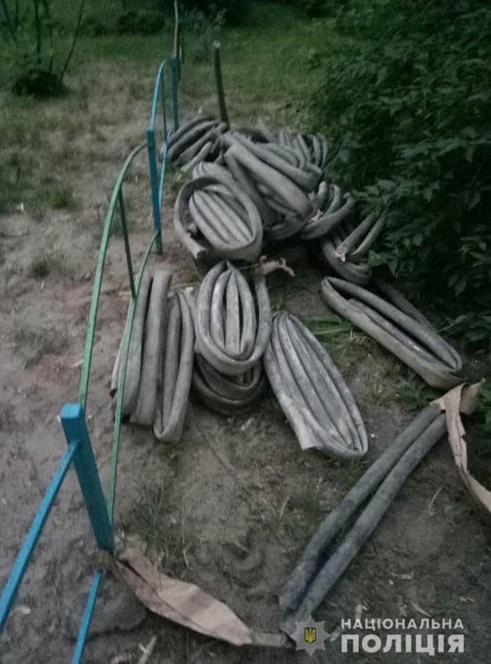 1solomakrazha260520191.jpeg (77 KB)