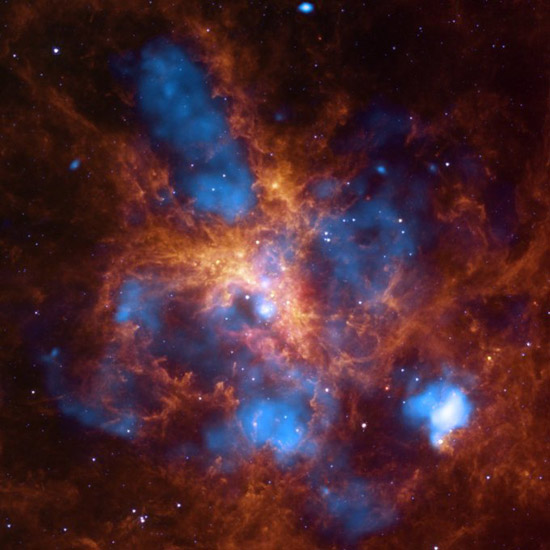 1637137100-495.jpg (85 KB)