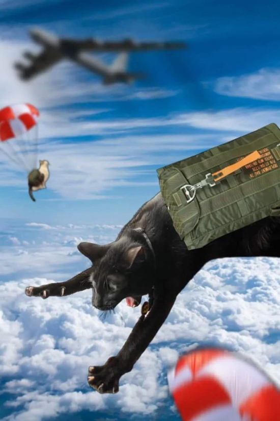 2image-2-768x1152.jpg (185 KB)