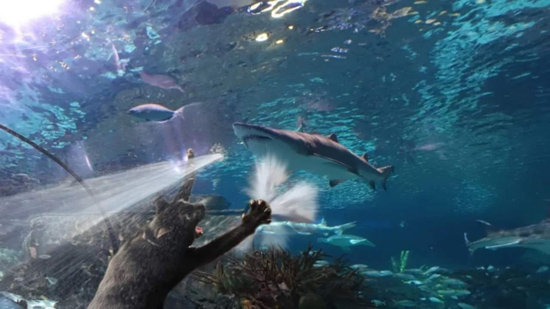 3image-3-640x360.jpg (102 KB)