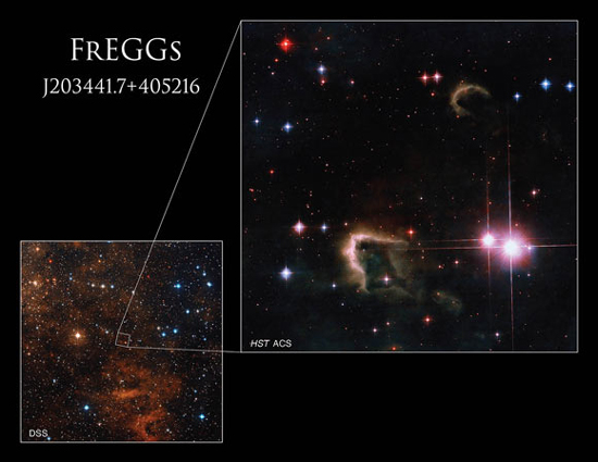 3image_10256_2-frEGGs-J2034.jpg (130 KB)