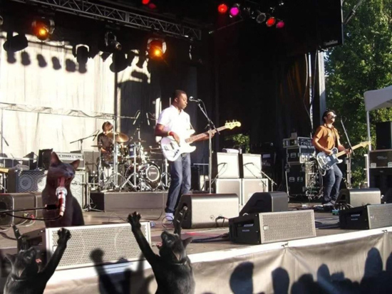 4image-4-640x480.jpg (146 KB)