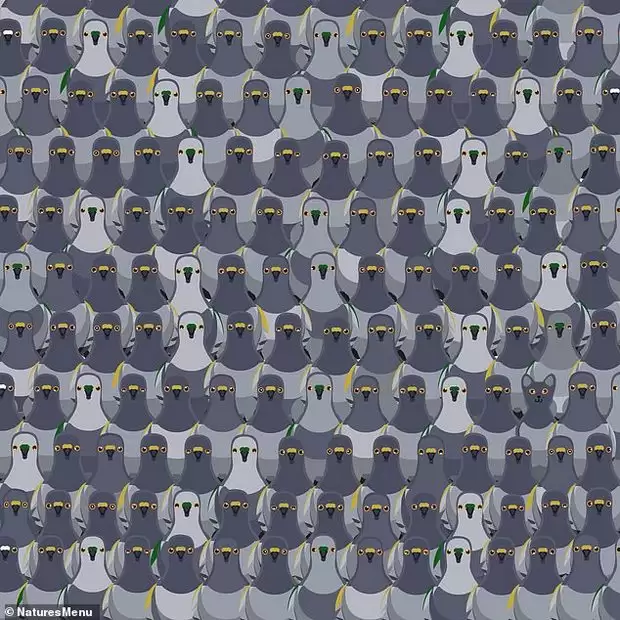 983601.webp (54 KB)