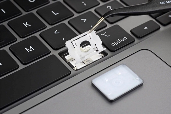 1w_55492100.jpg (71 KB)