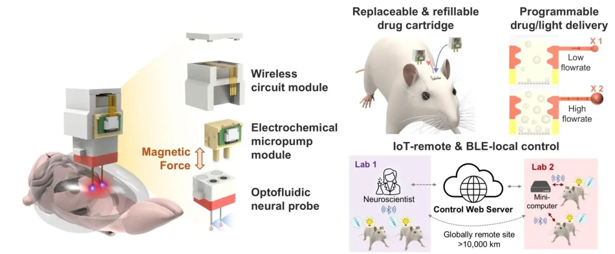 1rapidobrainimplantdesignandremotecontroljpg-1536x633.webp (40 KB)