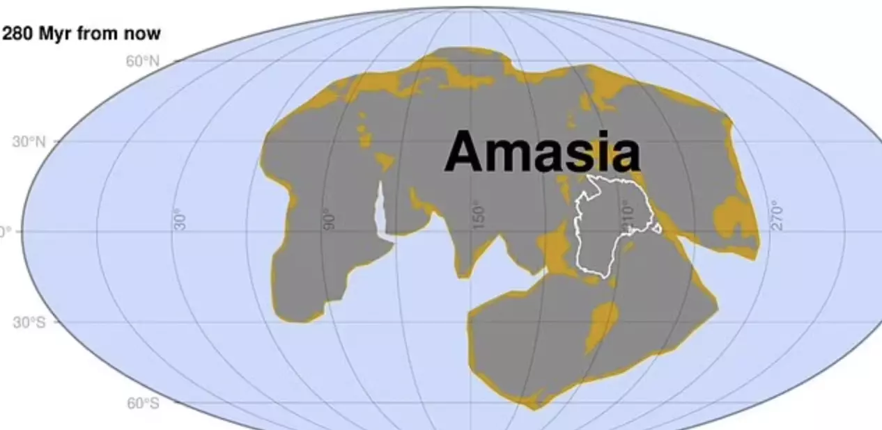 amasia.webp (22 KB)