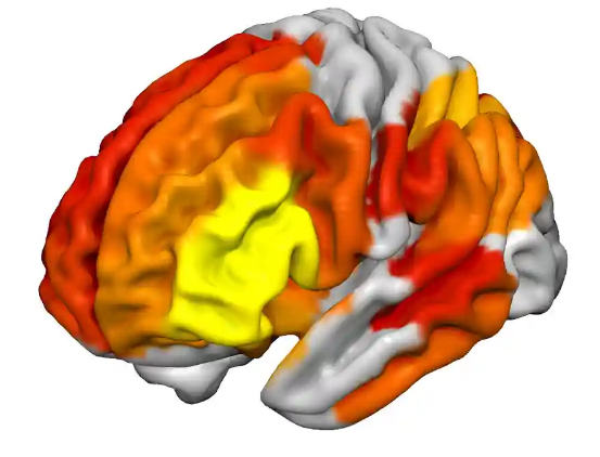 0117649.png (328 KB)