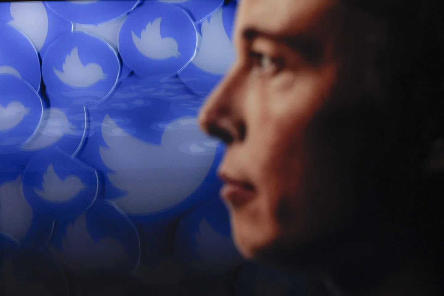 1244724569-e1669351625999.webp (38 KB)